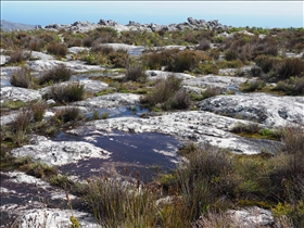 Table Mountain